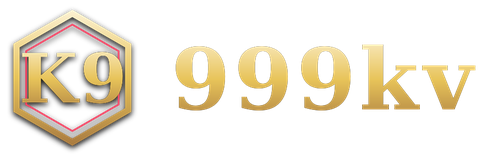 999kv logo